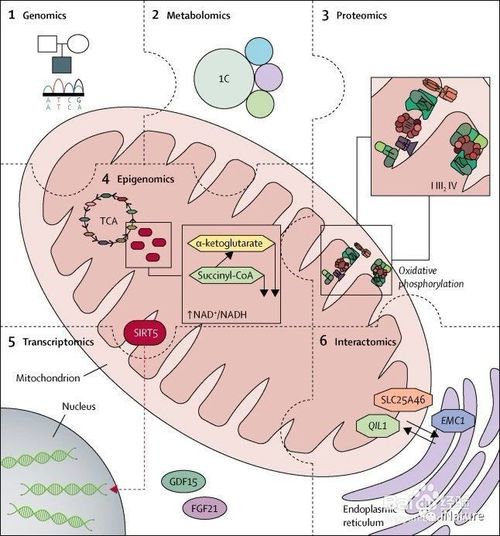 情况生态司法掩护护航“山青水绿天蓝”“beat365亚洲体育官方网站”(图3) beat365官网