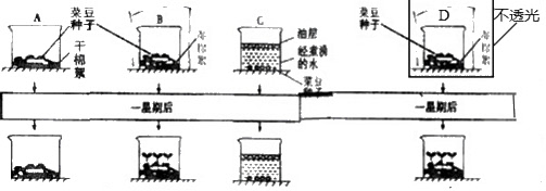 中国稀土协会:坚决维护中国稀土的全球战略地位_beat365官网(图2) beat·365