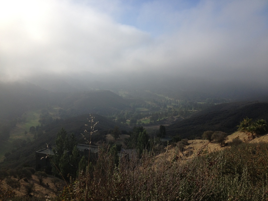 beat365亚洲体育官方网站