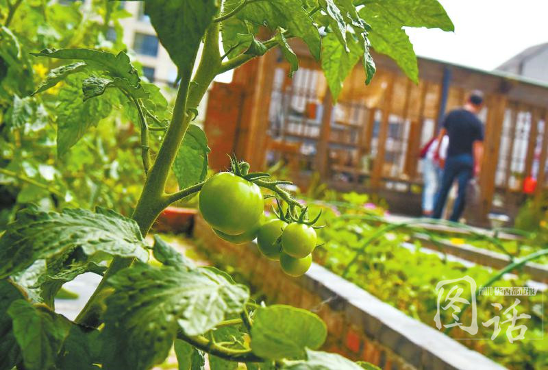 beat365亚洲体育官方网站