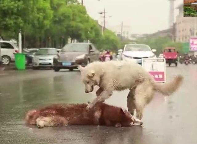 beat365亚洲体育官方网站