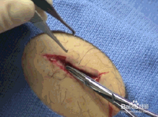 beat365亚洲体育官方网站