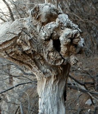 水环境不达标去环境部开调度会,这5个城市一次不落|beat365亚洲体育官方网站(图2) beat·365