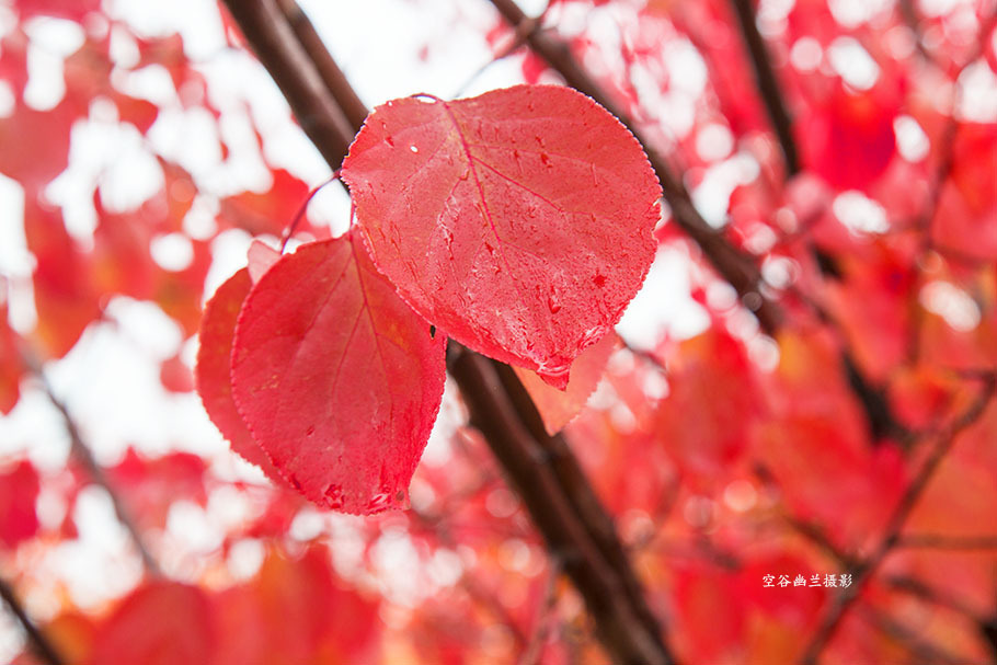 beat365亚洲体育官方网站