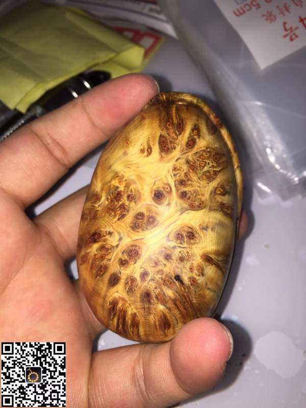 beat·365_Steam今日特惠 即时战略游戏《灰蛊》只需22元(图1) beat·365