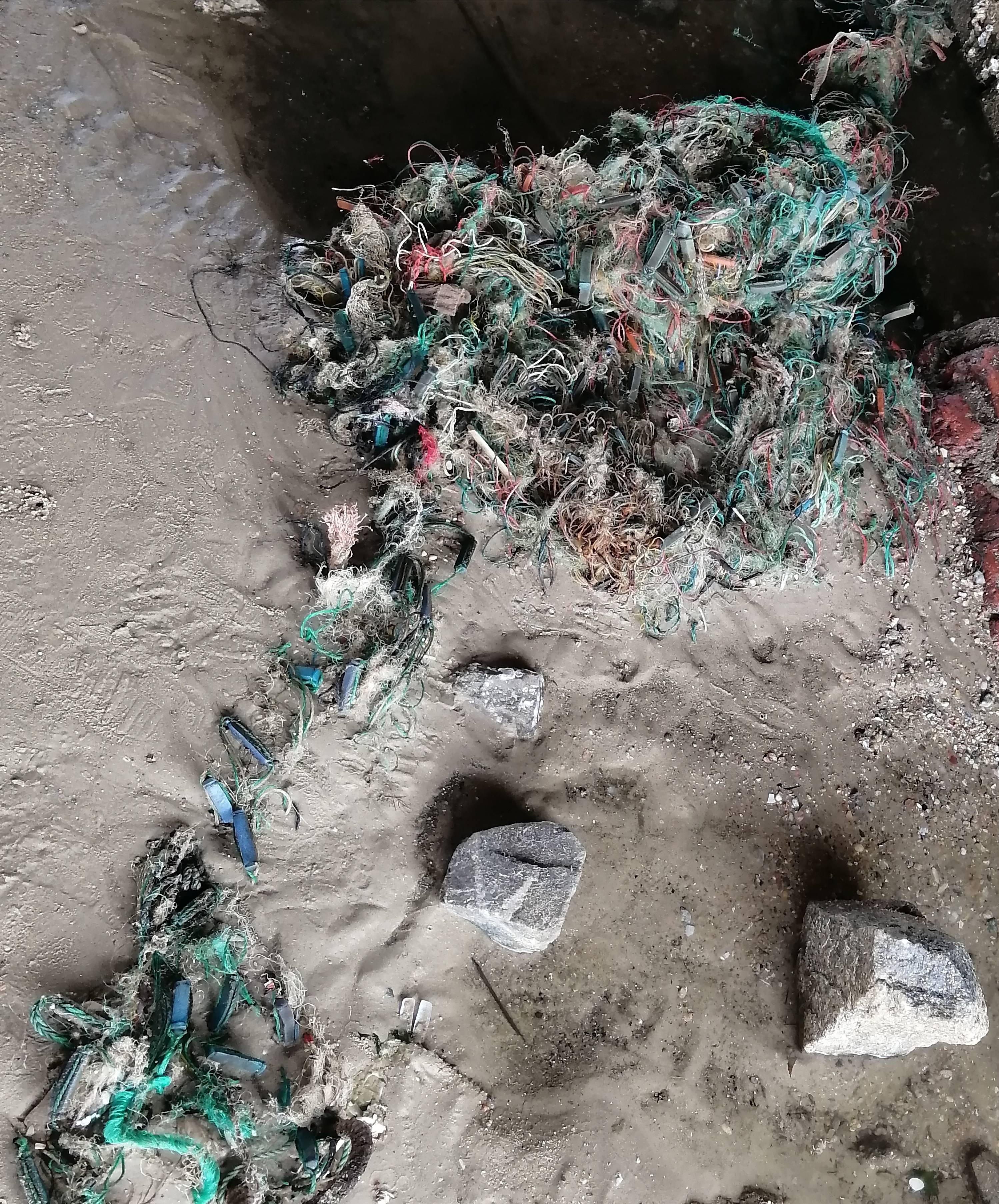 
海洋情况 你我行动‘beat365官网’(图1)