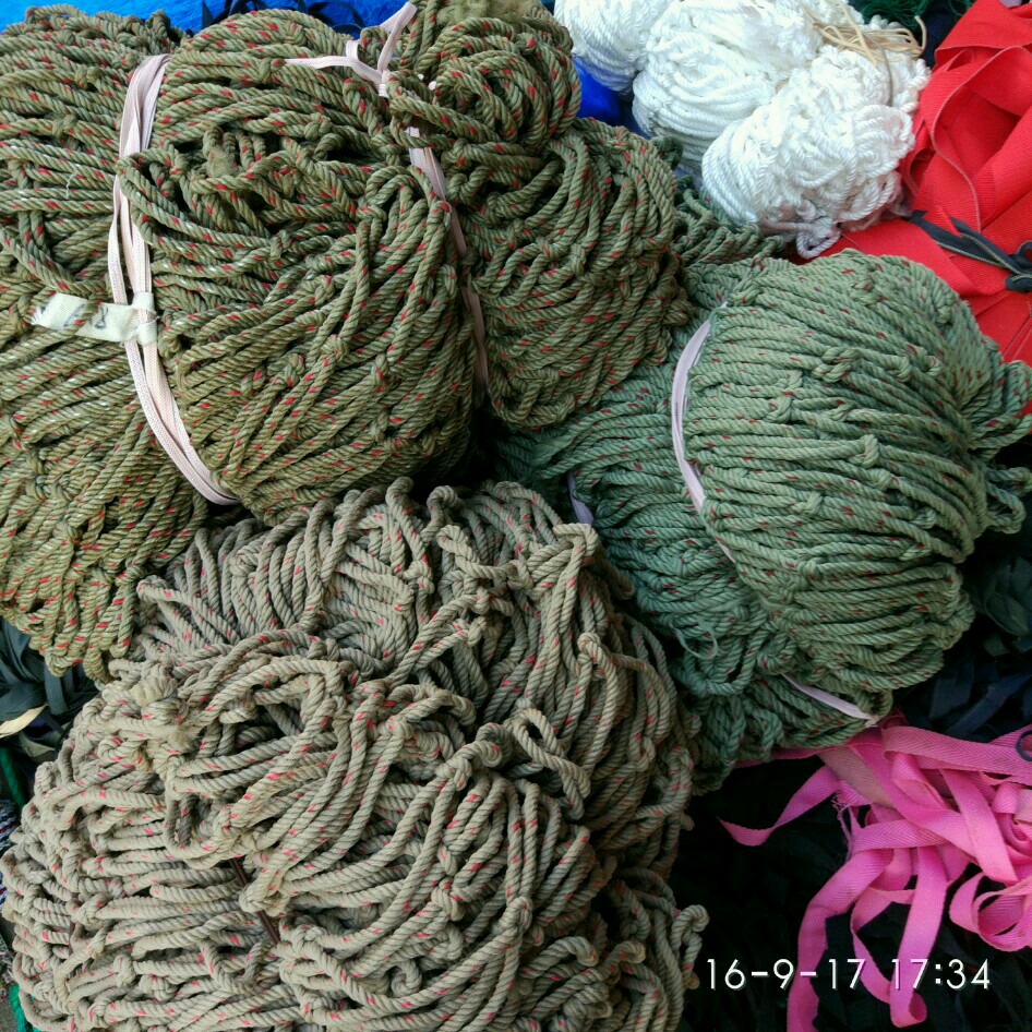 beat365亚洲体育官方网站