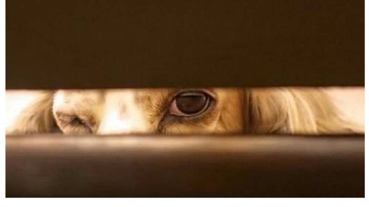 金华市积极推进现代物流业发展【beat365官网】(图2) beat365亚洲体育官方网站