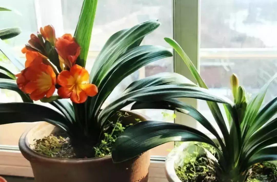 beat365亚洲体育官方网站