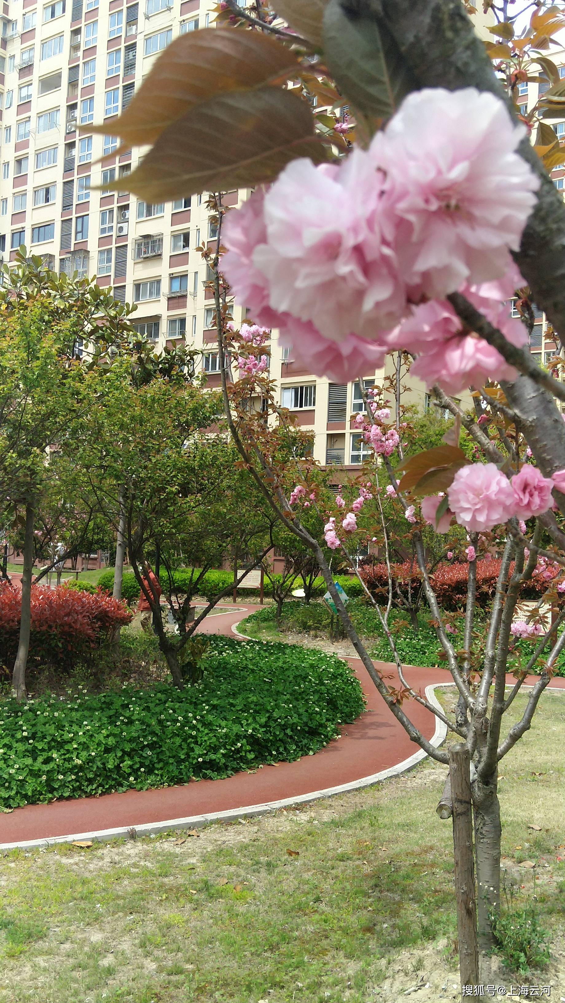 
情况优美的居住小区（8）_beat365亚洲体育官方网站(图9)