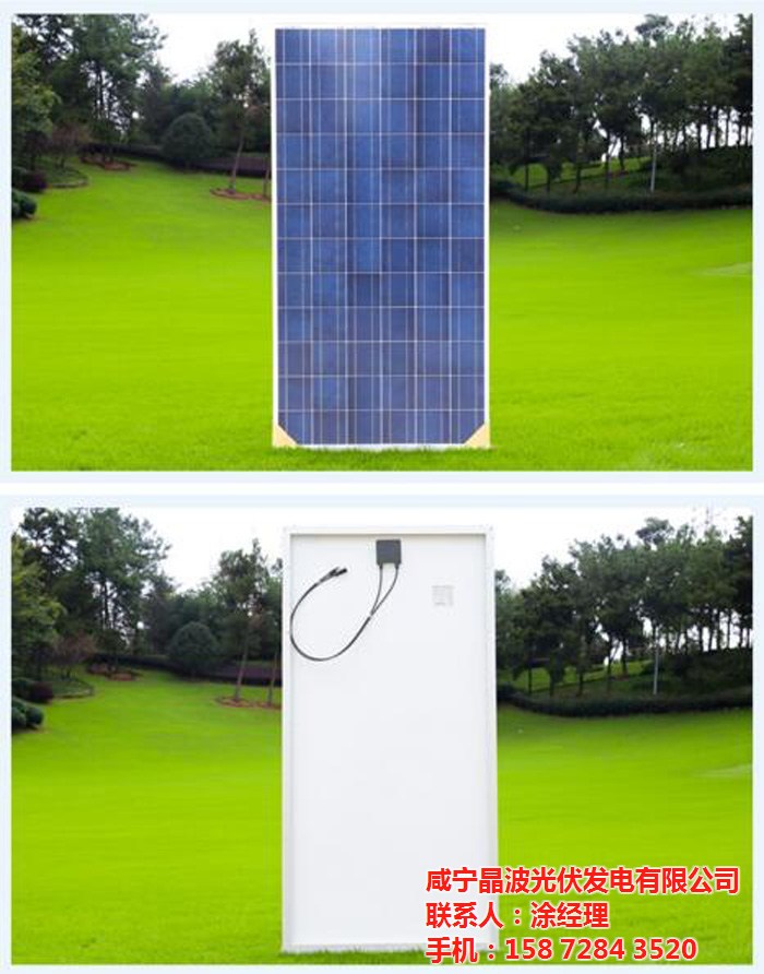 全国一等奖!第九届全国初中语文教师教学基本功大赛 玉林中学卢书倩赢了!:beat365官网(图14) beat365亚洲体育官方网站