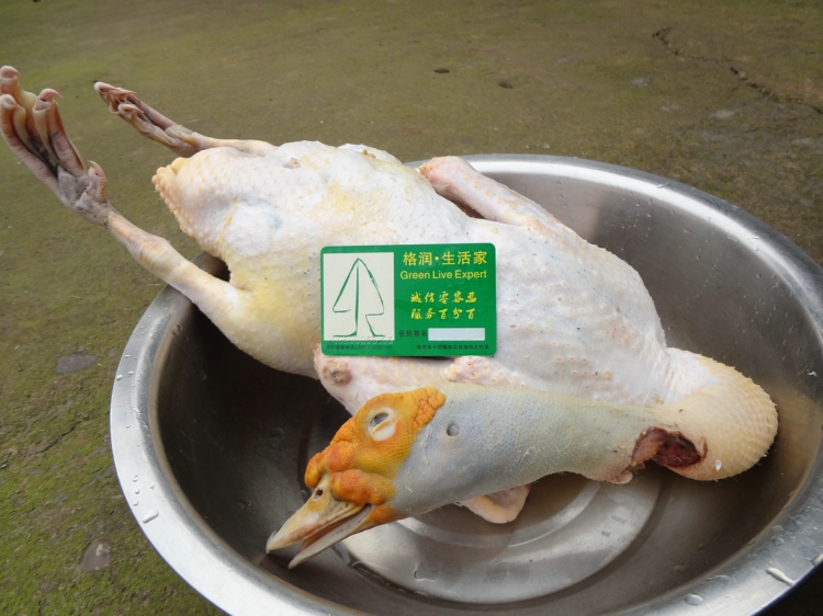 《幽灵行动:荒野》新补丁推出Xbox One X优化-beat365亚洲体育官方网站(图1) beat365官网