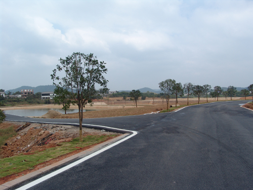 习近平:全面提高依法防控依法治理能力 为疫情防控提供有力法治保障|beat365官网(图2) beat365官网