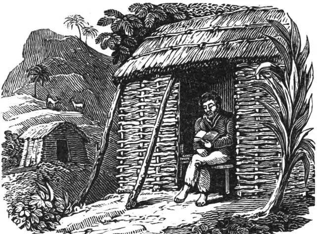 【beat·365】
你不知道的鲁滨逊 自主探险荒岛4年多 撸猫烤羊肉炖龙虾(图7)