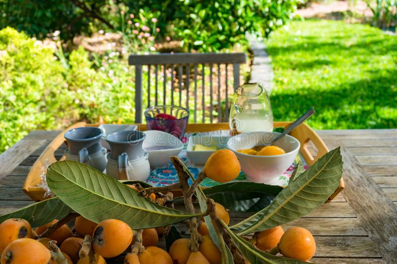 2019蓝色经济大会：集聚专家智慧 共谋绿色未来|beat365亚洲体育官方网站